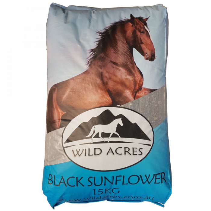 Wild acres black sunflower