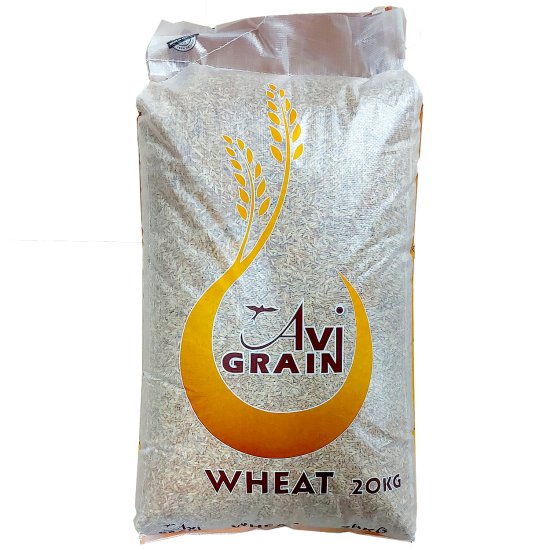 Avi Grain wheat