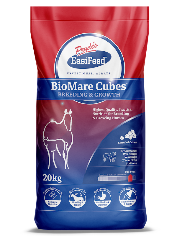 Prydes Easifeed biomare cubes