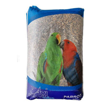 Avi Grain parrot blue
