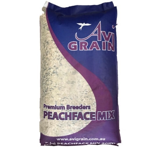 Avi Grain peachface mix
