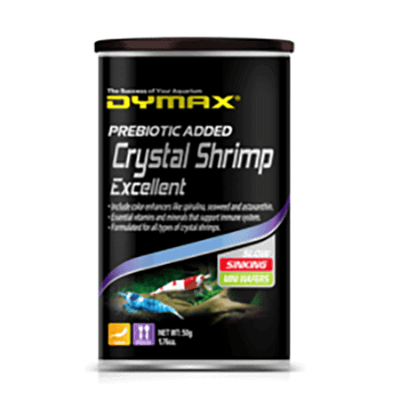 Dymax Crystal Shrimp Excellent