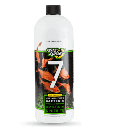 Fritz Zyme 7
