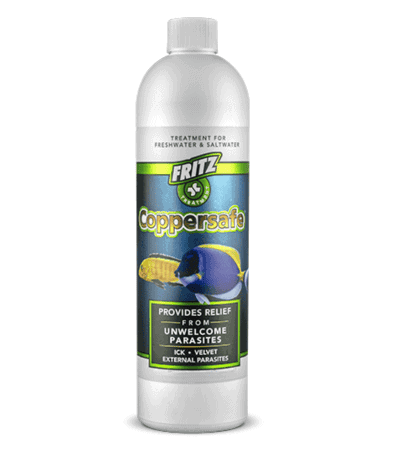 Fritz Coppersafe