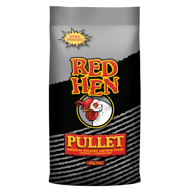 Red hen pullet grower