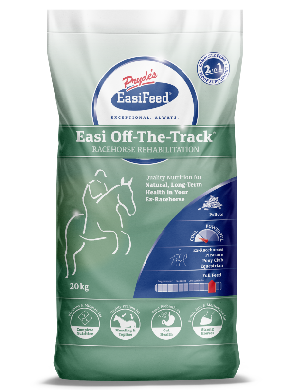 Prydes easi off the track