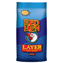 Red hen layer