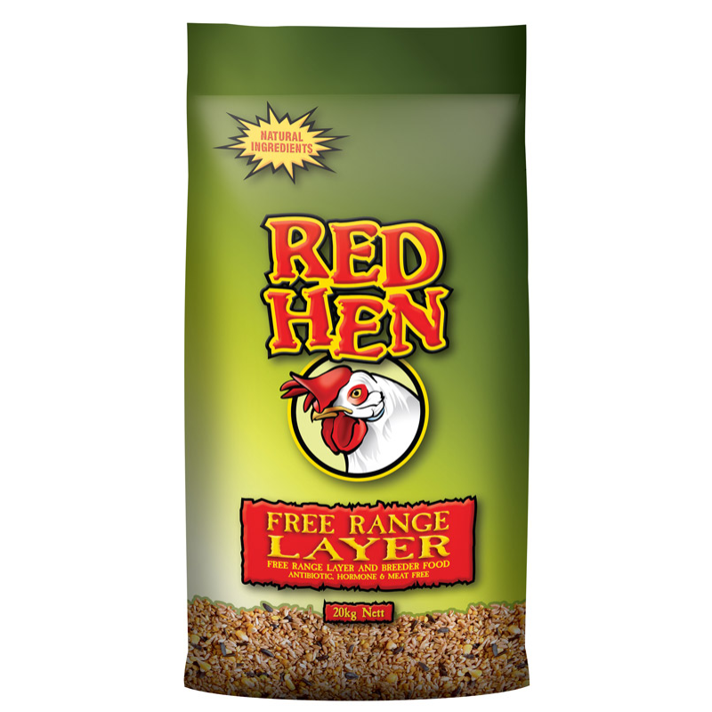 Red hen free range layer